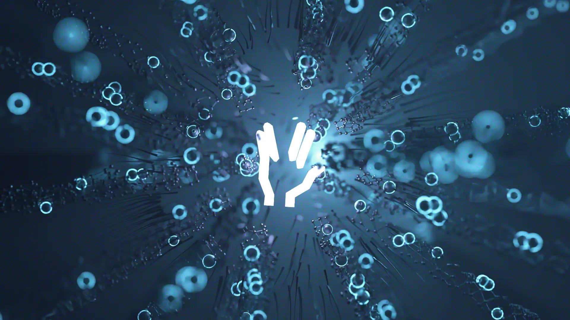 Graphic designer, Morocco , zedesigner